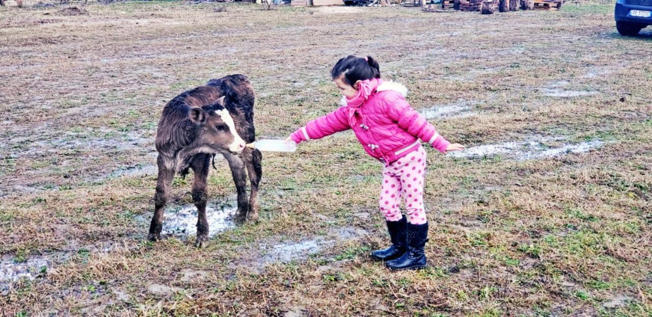 Life On The Farm 호텔 Nepravishte 외부 사진